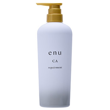 エヌ リペアメント CA